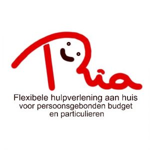 persoonsgebonden budget (pgb)